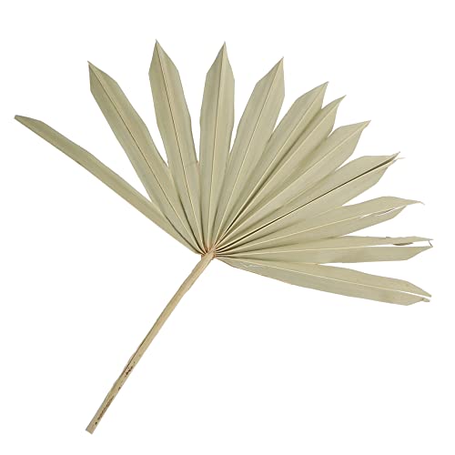 Adorno natural de hoja de palma seca para decoración