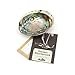 Produktbild Native Spirit Abalone Shell 14-15 cm (5-6 Inch), natürlich, schillernd und spirituell