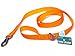 Embark Pets Adventure Pet/Dog Leash with Soft Padded Handle - 5 Foot Length (Orange)