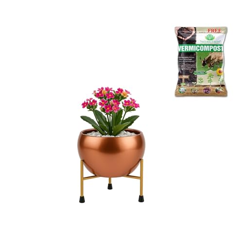 Image of NATURAL EARTH Copper Metal Flower Pot & Stand with Free 1 KG Organic Vermicompost Fertilizer | Decorative Indoor Outdoor Plant Pot | Copper Finish Planter for Home Garden Decor