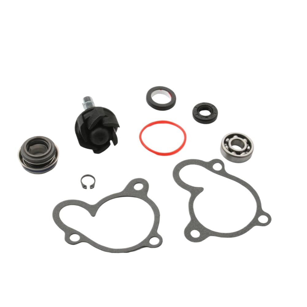 Kit Riparazione Pompa Acqua Compatibile Con Velvet 250 300 Kilibre 300 Password Skyliner 250cc 4T
