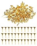 WINXMIN 100 Stück Mini Brads Musterbeutelklammern Musterklammern Metall Rundkopfklammern Scrapbooking Brads Musterklammern Für Schule Büro Papier Briefklammern Basteln Handwerk DIY(Gold)