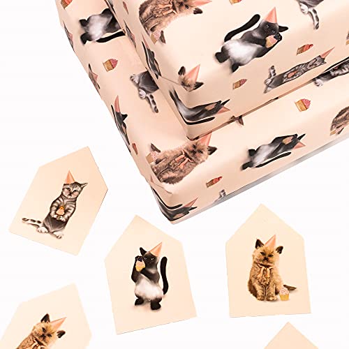 Central 23 - Cat Wrapping Paper - 6 Sheets Of Pink Birthday Gift Wrap - Kittens In Hats - For Women Girls New Baby - Recyclable #TOP5