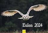 UNVERGLEICHLICH: ein wunderschöner Premium Kalender Eulen 2024. Super Fotos zeigen viele spektakuläre Highlights.