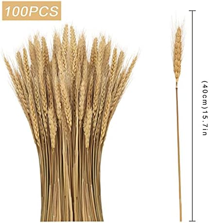 100pcs 40cm Dried Wheat Flowers Sheaves Dry Wheat Grass Bouquet Dried Wheat Grass Bundle Artificial Wheat Dried Flowers for Fireplace Home Kitchen Church Table Wedding Christmas Wreath Decoration 1