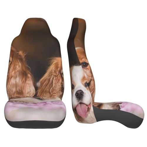 Funda universal para asiento de coche para perros Cavalier King Charles 4