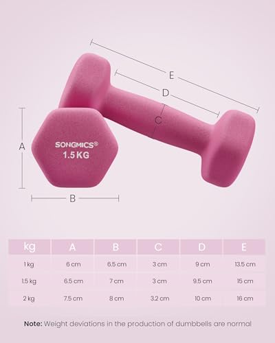 SONGMICS Set of 6 Dumbbells with Storage Stand, Hand Weights with Neoprene Coating, Hexagonal Dumbbells, 1 kg, 1.5 kg, 2 kg, Home Workout, Fitness, Yellow, Pink, and Purple SYL609B02 - Image 6
