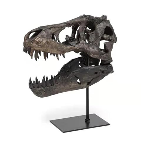 HOUSN Dinosaurier Schädel Skulpturen Tyrannosaurus Rex Resin Head Statue Wohnzimmer Deko Modern Büro Dekoration Wandregal Dekoration,Braun