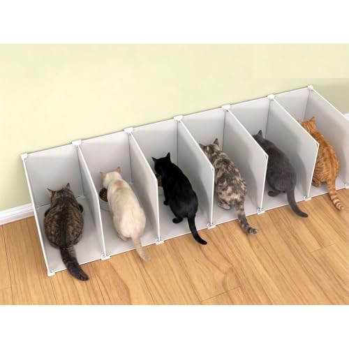 Indoor cat Restaurant/Feeding Area， Multi-cat Feeding…