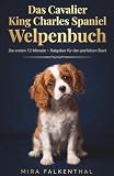  Das Cavalier King Charles Spaniel Welpenbuch: Die ersten 12 Monate - Ratgeber für den perfekten Start
