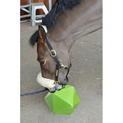 Colcolo Cute Horse Treat Ball Equine Hay Feeder Toy For Horse Stable Stall Paddock Rest Play Training Horse Feeding Supplies, Green #TOP6
