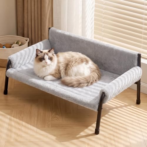 Elevated Cat Couch Bed with Metal Frame, Up to 60 lbs