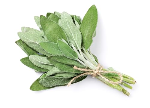 TKE Farms & Gardens - Sage Seeds for Planting - 120+ Heirloom Non-GMO Sage Seeds, Ideal for Indoor & Outdoor Gardens, Great for House Plant Seeds, Salvia officinalis, Includes Growing Instruction