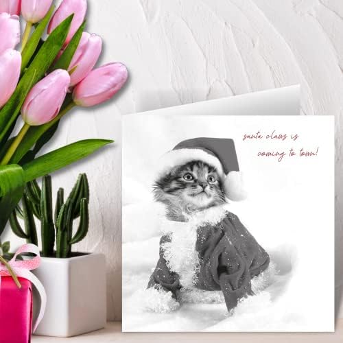 Christmas Card From The Cat, Cute Cat Christmas Cards, Christmas Card Cat, Christmas Cards From The Cat, From The Cat Christmas Card, From The Cat Christmas Cards, Christmas Card, Christmas Cards