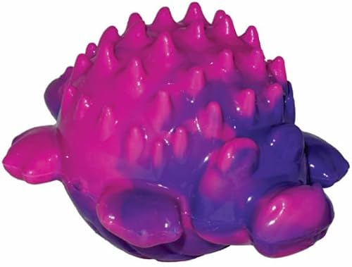 DARO Multicolour Crocodile 5" | Tough TPR Chew Toy for Dogs | Spiky Texture for Teeth Cleaning & Gum Massage | Interactive Chew & Fetch Toy for Small, Medium & Large Dogs