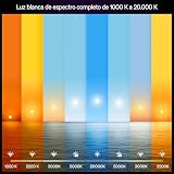 Philips Hue Ampoule connectée LED A60, White and color, Ampoule E27, 8,1 W, Spectre complet 1000-2000 K, 1100 lm, Intensité variable, Compatible Alexa, Google et Apple Home, pack de 2 - 3