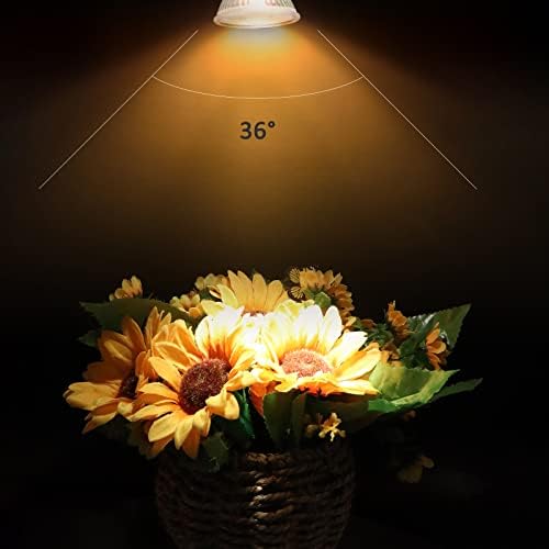 Caldarax Pack of 8 MR16 GU5.3 20 W 12 V Halogen Spotlights, Dimmable 2700 K Warm White, 210 LM, Halogen Reflector Bulb, GU5.3 Bi-Pin Base Spotlight 36° Beam Angle - View 7