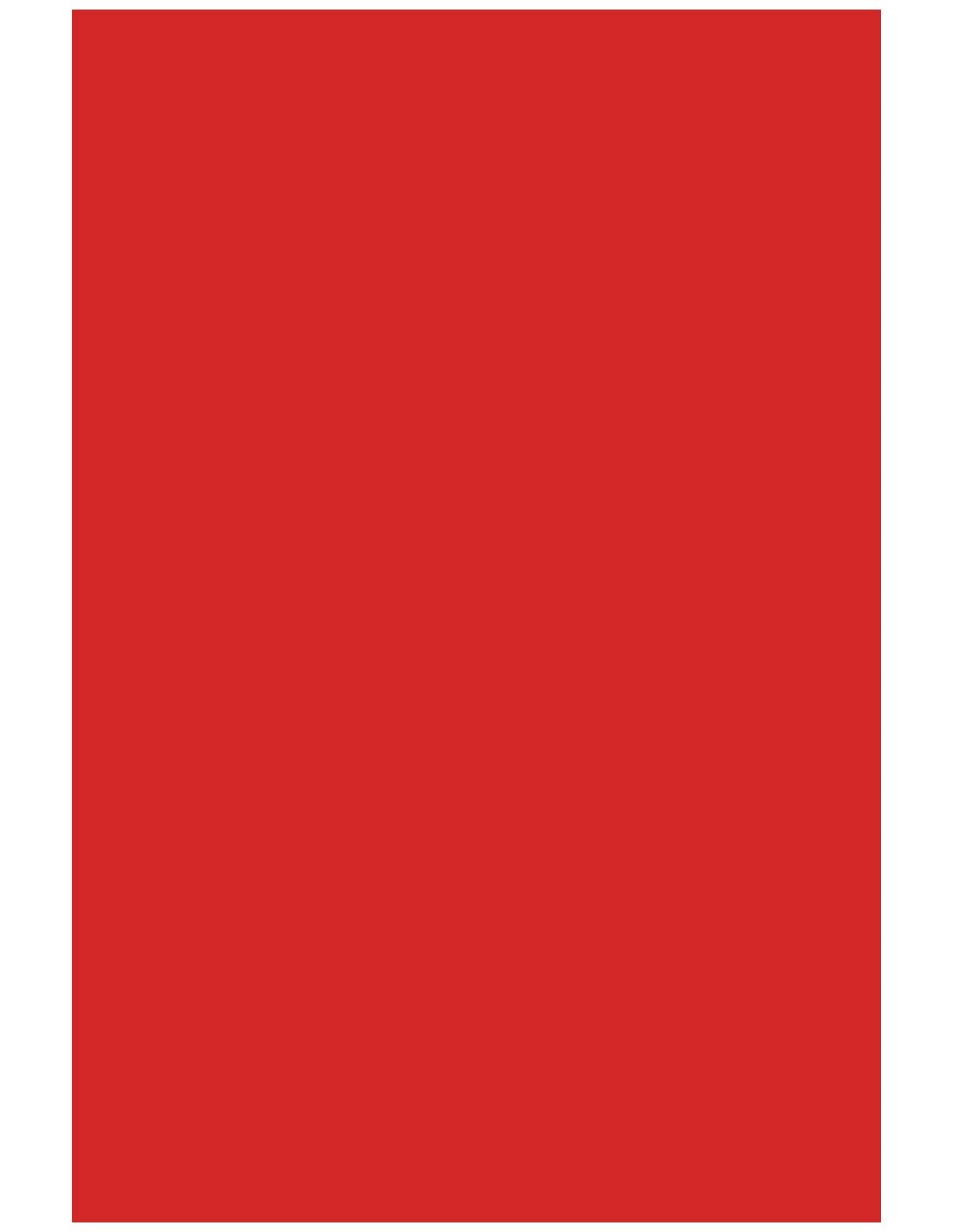 Netuno 40x Intense red Cardboard A5 148 x 210mm 5.8 x 8.3in 230gsm Rainbow Printable Coloured Paper Colourful cardstock for Card Making Scrapbooking DIY Crafts School Office Card Stock Craft Paper