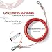 Mi Metty Tie-Out Leinen für Hunde,3m Kausichere Hundeleinen,Tie Out Cables Hofleine Für mittlere bis große Hunde(Rot,10ft-3M)