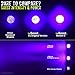 uvBeast V2 - Black Light UV Flashlight with HIGH Definition with Flood Effect 385-395nm UV Best for Commercial/Domestic Use Works Even in Ambient Light – USA Stock – UK Design