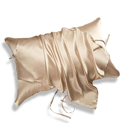 VN100% Jo[ VN ܂Jo[ s[P[X q wAPA ێ Ch~ e ΍ Q  CeA (Vp)