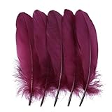 10/50/100 piezas plumas de ganso teñidas varias plumas de cisne naturales para manualidades, joyería de boda, accesorios de fiesta, 15-20 cm/6-8 pulgadas-vino-10PCS