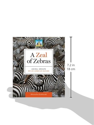 Zeal of Zebras: Animal Groups on an African Safari