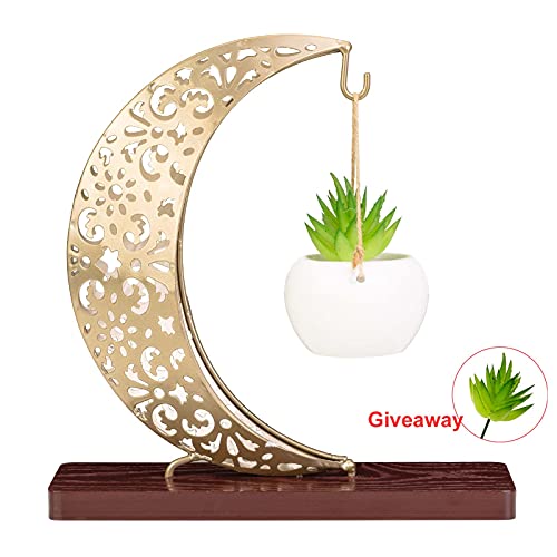 Innodept12 Succulent Artificial Plants Table Decor - Bonsai Holder Metal Moon Hanging Ceramic Pot With Artificial Succulents Perfect For Toptable Home Office Desktop Decoration (Metal & Ceramic Pot) #TOP3