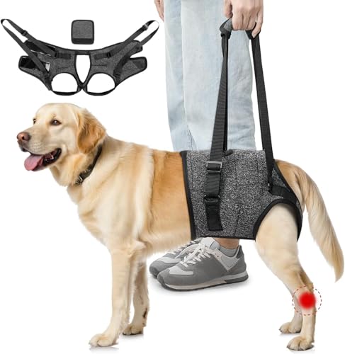 SlowTon Harnais de Soutien des Pattes arrière pour Chiens de Taille Moyenne - Harnais de Levage Confortable et Ajustable pour Chiens âgés, blessés ou...