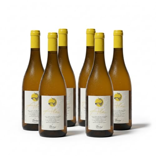 Monovarietal Alai – Sidra Natural 100% Manzana Txalaka del País Vasco con Denominación de Origen Euskal Sagardoa, 6% Vol., Fresca, Afrutada y de Cuerpo Reconocible (Pack 6)