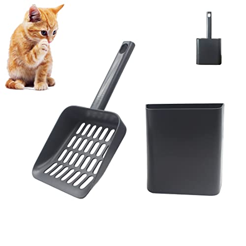 Find The Best Kind Of Cat Litter Reviews & Comparison Katynel