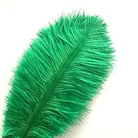 LICHENGTAI 10 Pezzi Piume Di Struzzo Naturale, 25-30 Cm Piuma
