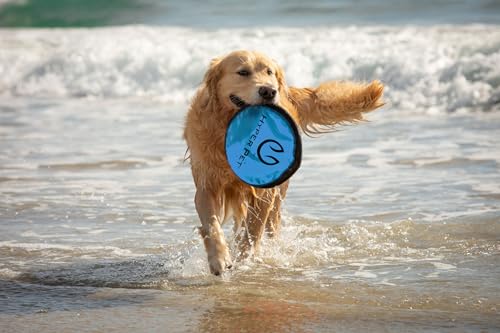 Hyper Pet 49302 Flippy Flopper 9 Inch Flying Disc Soft Dog Toy thumb #8