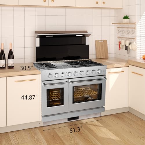 48 Inch Gas Range, Full Gas Freestanding Range with 6 Sealed Burners Cooktop & Cast Iron Grates & 7 Cu.Ft. Double Convection Oven, Stainless Steel Gas Range Stove for RV, Silver