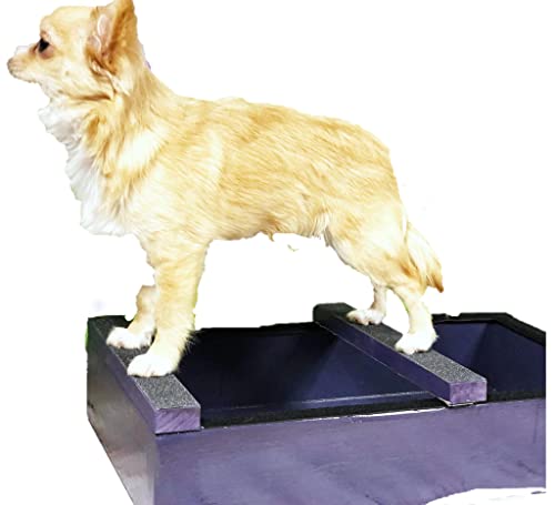 Boujee Stacking Box Show Training Equipment 20