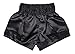 Fairtex Muay Thai Boxing Shorts Traditional Styles (Fortune Black, XX-Large)