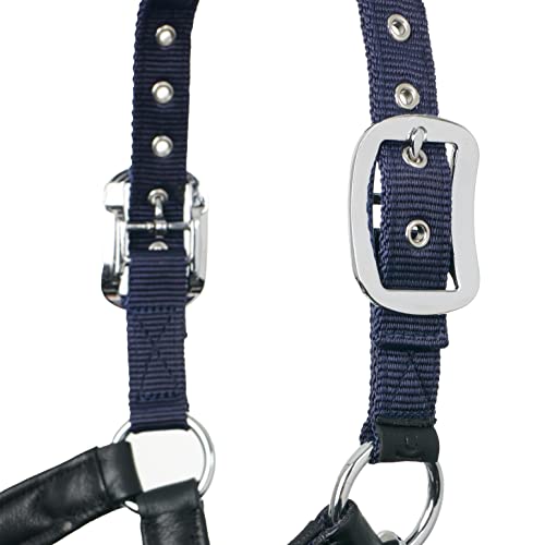 Lemieux Capella Halter - Soft Leather - Metal Fittings - Anatomic Design - Padded For Extra Comfort (Navy - Full) #TOP5