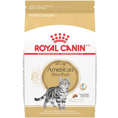 Royal Canin Feline Breed Nutrition American Shorthair Adult Dry Cat Food, 5.5 lb Bag