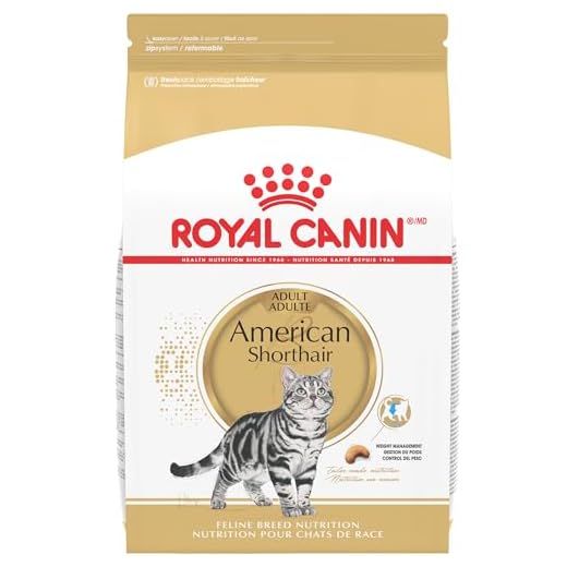 Royal Canin American Shorthair Cat Food