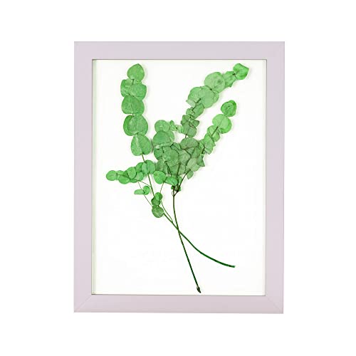 Rahmendesign24 Bilderrahmen Doppelglasrahmen Milano 40x50 Weiß (matt) Fotorahmen, Wechselrahmen, Doppelglas