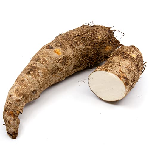 Congo Since 1979 Fresh Malanga White (Blanca) (15 lbs) (Shipping Included) - Thumbnail 2