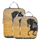 Organizadores de maletas Animales Caballos Manipulación Cg Arte digital Sky Clo Bolsas de viaje de compresión Juego de cubos de embalaje expandibles para equipaje de mano, viajes (juego de 3)