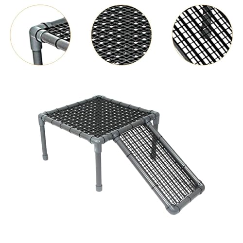 Dragons barbus et petits repti : plateforme de bronzage stable - 4
