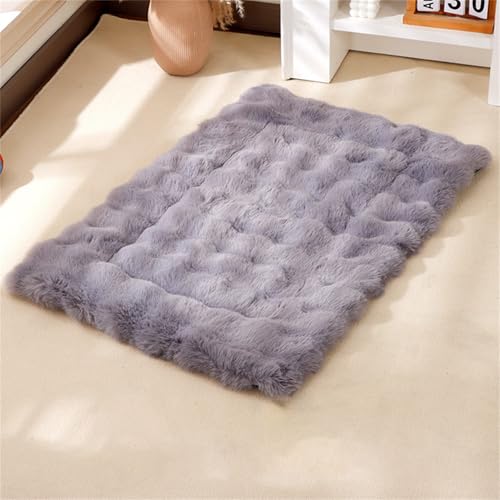 Coussin pour chien lavable de qualité supérieure base étanche