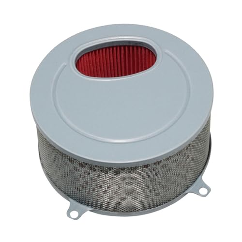 Filtre à air moto pour Daelim VL125 Daystar 17213-BA1-0000 pièce de rechange