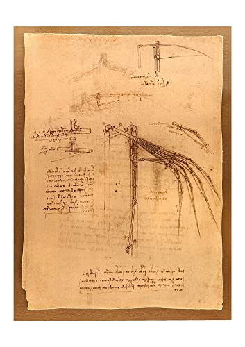 Lámina de Leonardo Da Vinci Aile Mobile, decoración elegante para salones modernos