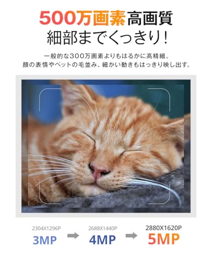 Skyworth C50 見守りカメラ の商品画像 4