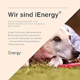 iEnergy™ MAL Hunderucksack - Wetterfester Rucksack für Hunde – Gut gepolsterter Wanderrucksack (Klein)