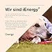 iEnergy™ MAL Hunderucksack - Wetterfester Rucksack für Hunde – Gut gepolsterter Wanderrucksack (Klein)