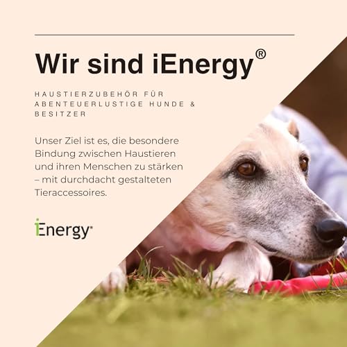 iEnergy™ MAL Hunderucksack - Wetterfester Rucksack für Hunde – Gut gepolsterter Wanderrucksack (Klein)